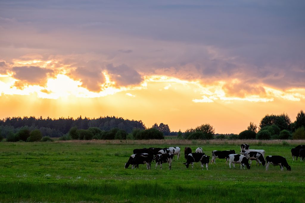 agriculture-attorneys-Bainbridge-GA